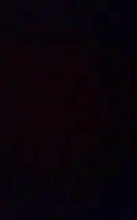 09199130454