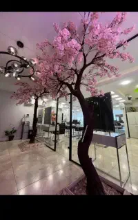 نیازمند نیرو خانم