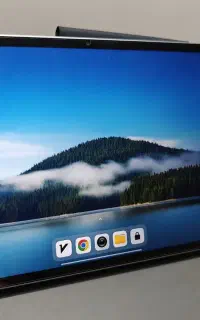 pad 7