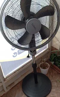 پنکه ایستاده