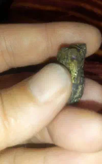 سنگ‌طلا