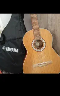 گیتار پارسی M5