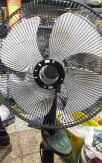 پنکه