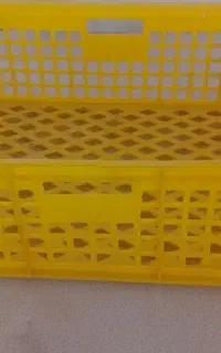 سبد بزرگ