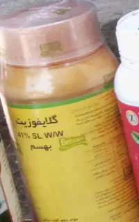 سموم سم گلایفوزیت رانداپ