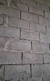 استاد کار ماهر بلوک زن