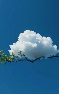 تولیدمحتوا و تبلیغات آنلاینِ سروش