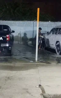 صفرشویی و کارواش نانوپونک