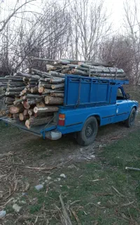 برش چوب و درخت