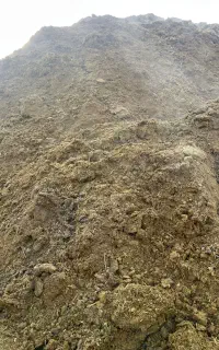 کود گوسفندی الک شده