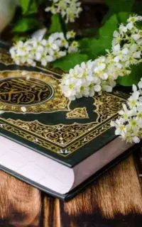 کتاب یا قرآنی