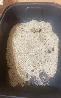 خاک گربه