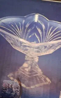 ظرف پذیرائی بزرگ