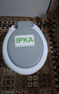 توالت فرنگی