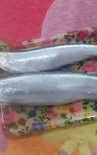 ماهی خارو درشت تازه تازه