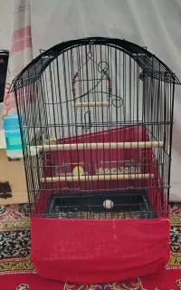 عروس هلندی