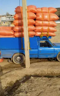 نیازمندکارگر  برای پور کردن کاه روزانه یک در میان