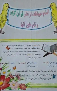 رایگان/ مناسب برای دیوار اتاق و مدرسه و مهدکودک