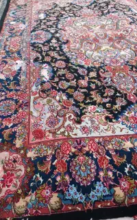 ۹متری سالاری تک مدح ۳۰رج مرینوس