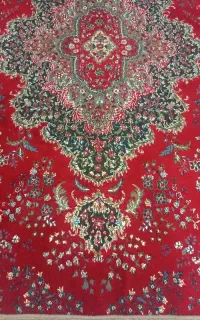 ۱۲متری واسه باغ