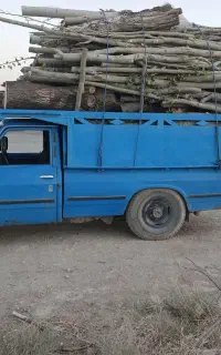 خریدار همه نوع چوب تر و خشک نقدی