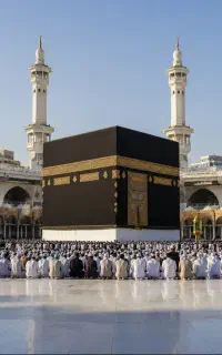 مشاوره فیش حج