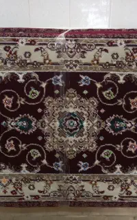 4عددپشتی سالم