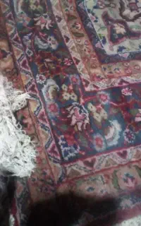 قالی دست بافت قدیمی تخته فرش درحدنو