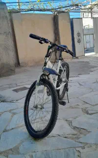 دوچرخه پلیسی اصل