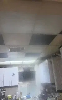 پلکسی