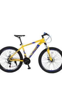 نمایندگی دوچرخه توحید