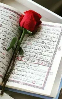 سرکتاب بخت گشایی تضمینی