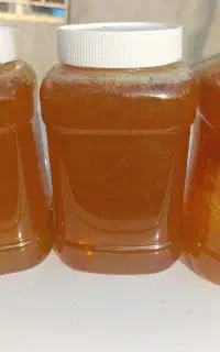 عسل