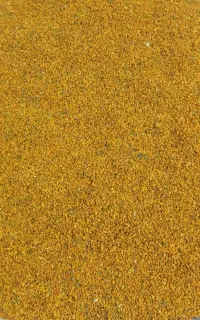 گرده گل زنبور عسل