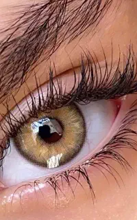 لنز استفاده نشده طبی