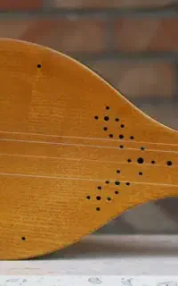 سه تار کاسه کوچک محمدرضا مفاخری