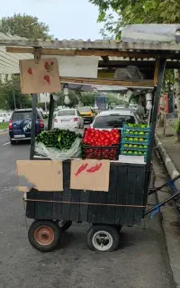گاری بساط میوه