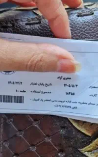 بلیط استخر صدرا دلفین پارالمپیک