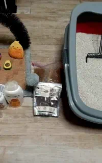لوازم کامل مخصوص گربه