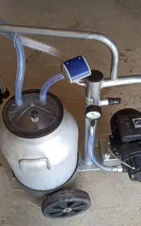 شیردوش تک واحدترکیه