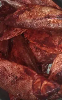 ماهی شور ماهی دودی