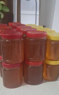 عسل درجه یک گون