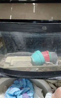 آکواریم شیشه خم  ضخیم