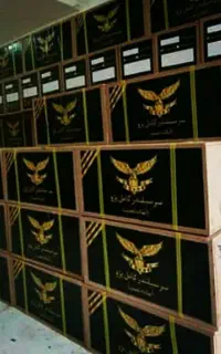 منشی یا دفتر دار، حسابدار خانم