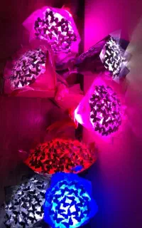 دسته گل و بوکت پروانه و چراغدار و روبانی روز دختر