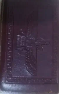 گم شده