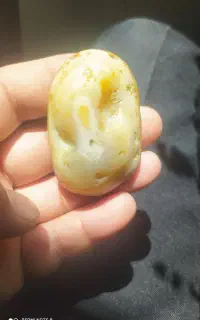 گردنی نماد