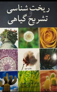 کتاب ریخت شناسی و تشریح گیاهی