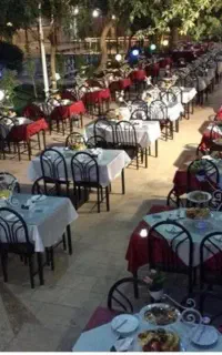 اجرای موزیک زنده