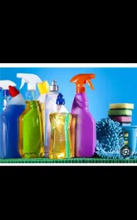 شرکت خدماتی امیر